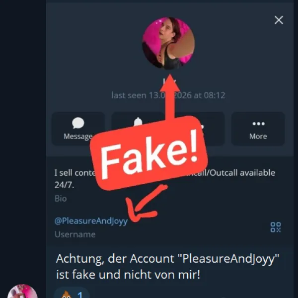 Fake Telegram Profile / Scammer