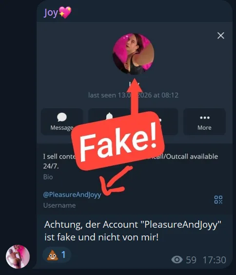 Fake Telegram Profile / Scammer