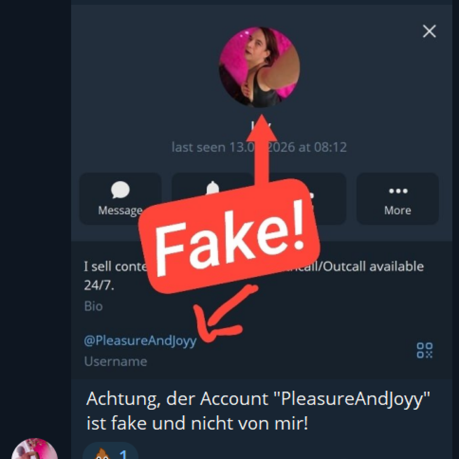 Fake Telegram Profile / Scammer